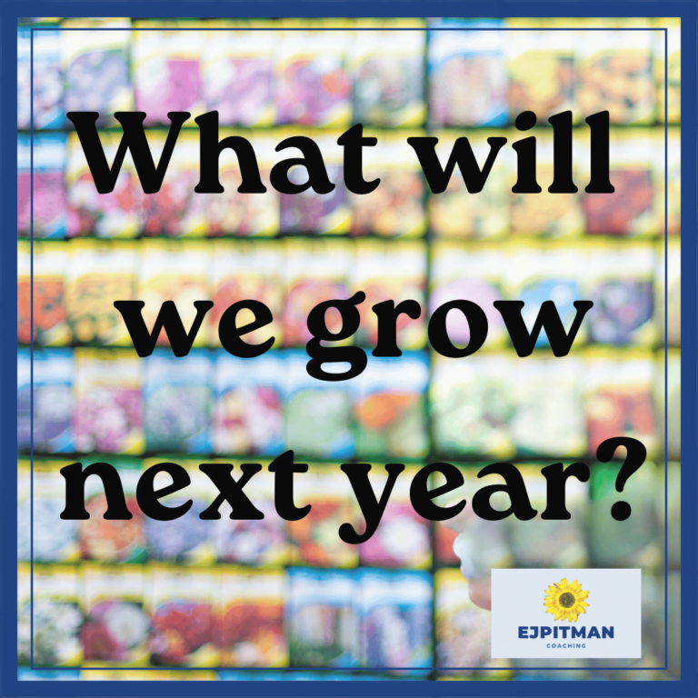 blurred seed packets with text "what will we grow next year?"