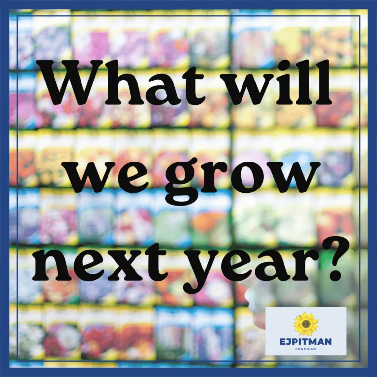 blurred seed packets with text "what will we grow next year?"