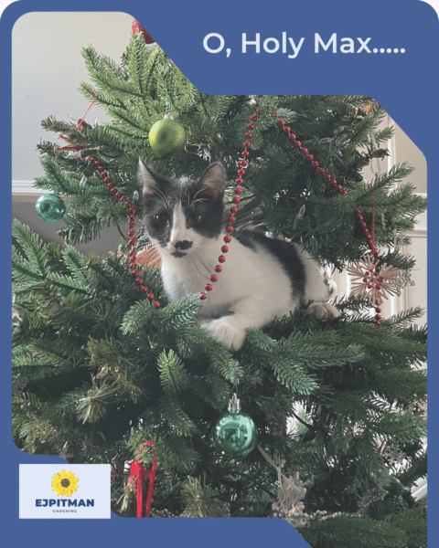 black and white cat in a Christmas tree